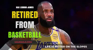 LeBron James: Retirement Rumors and Basketball Legacy