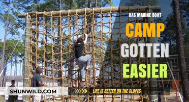 Has Marine Boot Camp Softened? Examining Today's Training Rigor