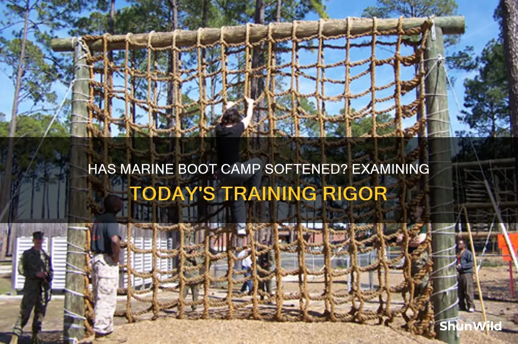 has marine boot camp gotten easier
