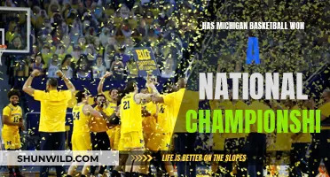 Michigan Basketball's National Championship Dreams: Realized or Not?