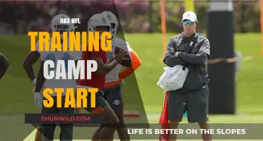 NFL Training Camp Kickoff: What Fans Need to Know Now
