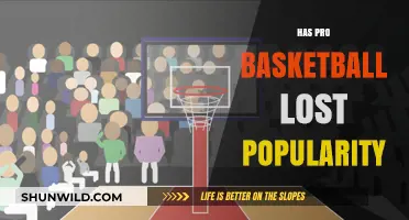 The Decline of Pro Basketball: Has the Sport Lost Its Shine?