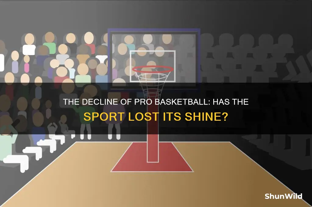 has pro basketball lost popularity