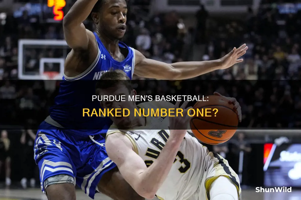 has purdue men