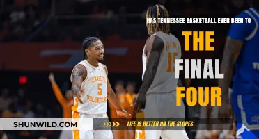 Tennessee Basketball: Final Four Dreams