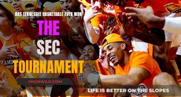 Tennessee Basketball: SEC Tournament Champions?
