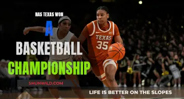 Texas Basketball Triumph: Championship Dreams and Reality