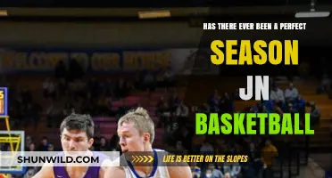 The Quest for Perfection in Basketball