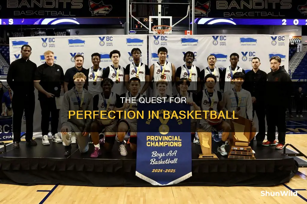 has there ever been a perfect season jn basketball
