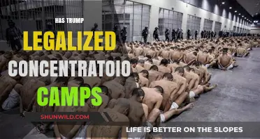 Trump's Policies: Legalizing Concentration Camps or Misinterpreted Actions?
