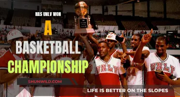 UNLV's Basketball Legacy: Championship Dreams and Success