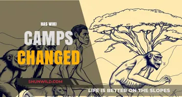 Has WikiCamps Evolved? Exploring Changes in Camping and Travel Planning