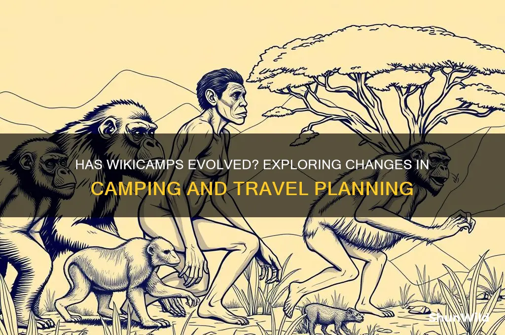 has wiki camps changed