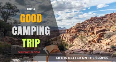 Essential Tips for a Memorable and Safe Camping Adventure