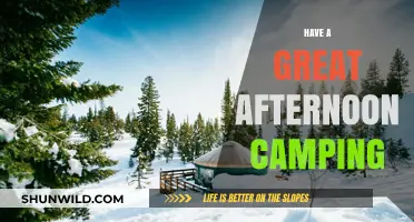 Enjoy Nature's Bliss: Tips for a Perfect Afternoon Camping Adventure