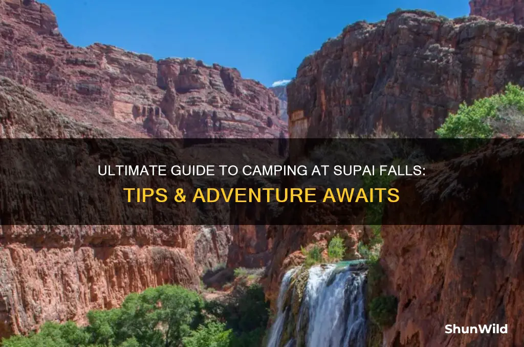 have a supai falls camping
