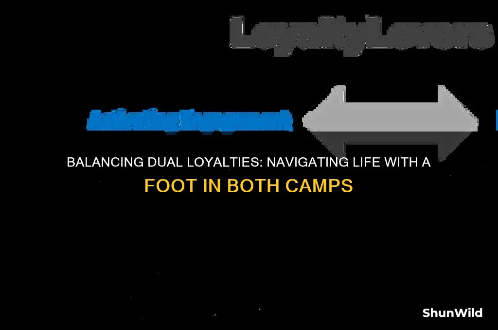 have foot in both camps