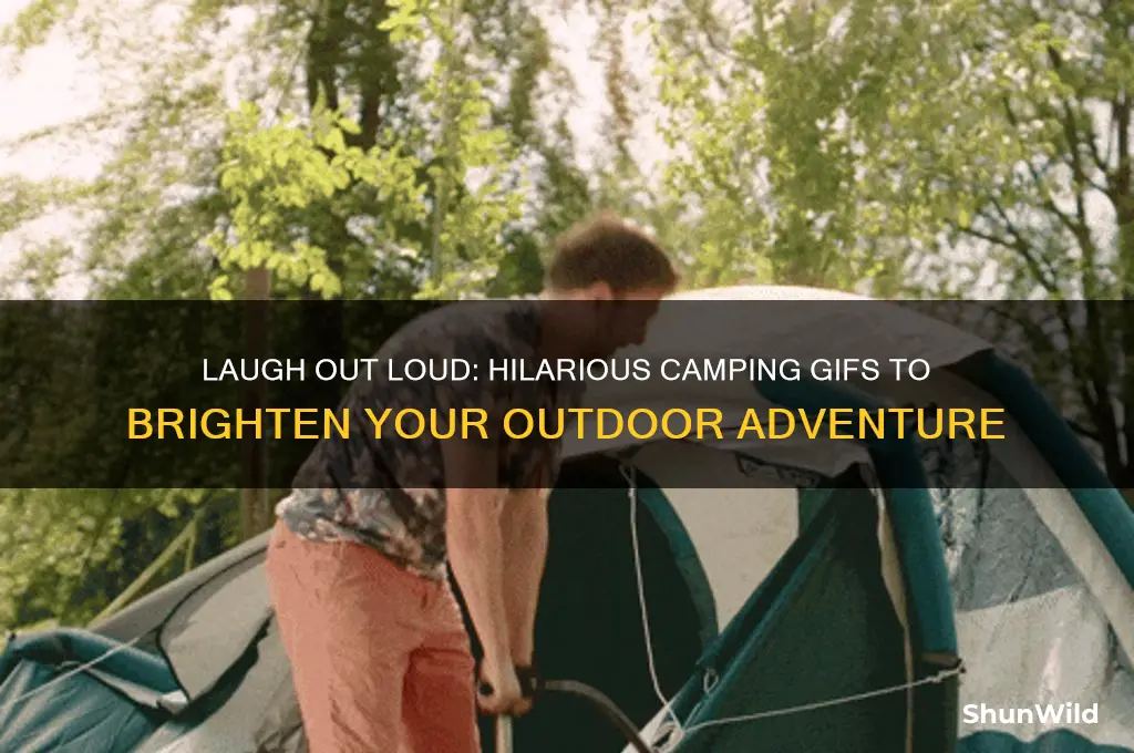 have fun camping gif
