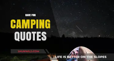 Spark Joy Under the Stars: Inspiring Camping Quotes for Adventure