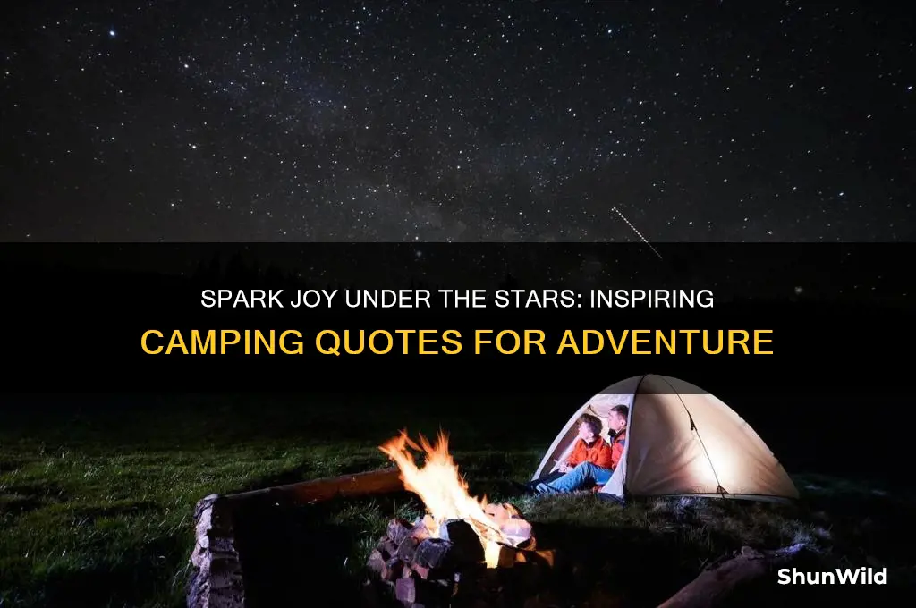 have fun camping quotes