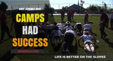 Juvenile Boot Camps: Effective Rehabilitation or Temporary Solution?