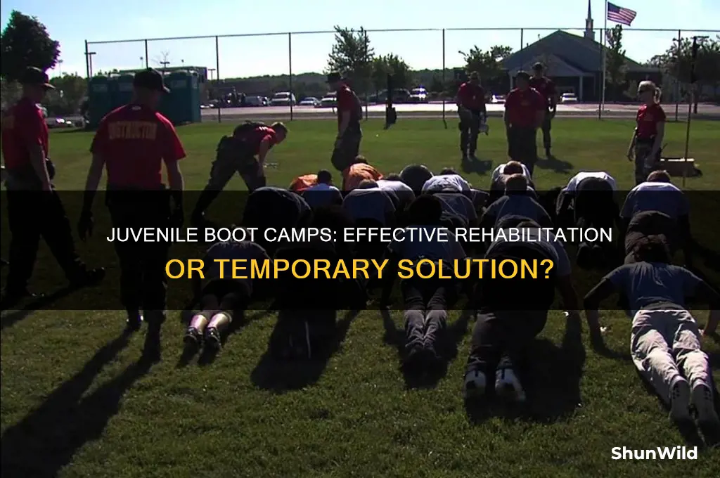 have juvenile boot camps had success