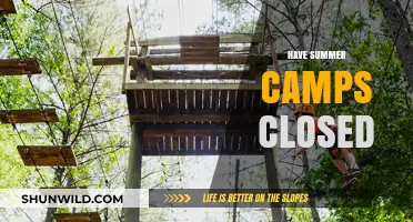 Are Summer Camps Shutting Down? Exploring the Current State of Camps