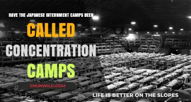Were Japanese Internment Camps Actually Concentration Camps? A Historical Debate