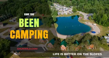 Have You Been Camping? Discover the Joys of Outdoor Adventures
