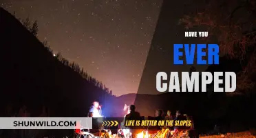 Under the Stars: Sharing My First Camping Adventure and Tips