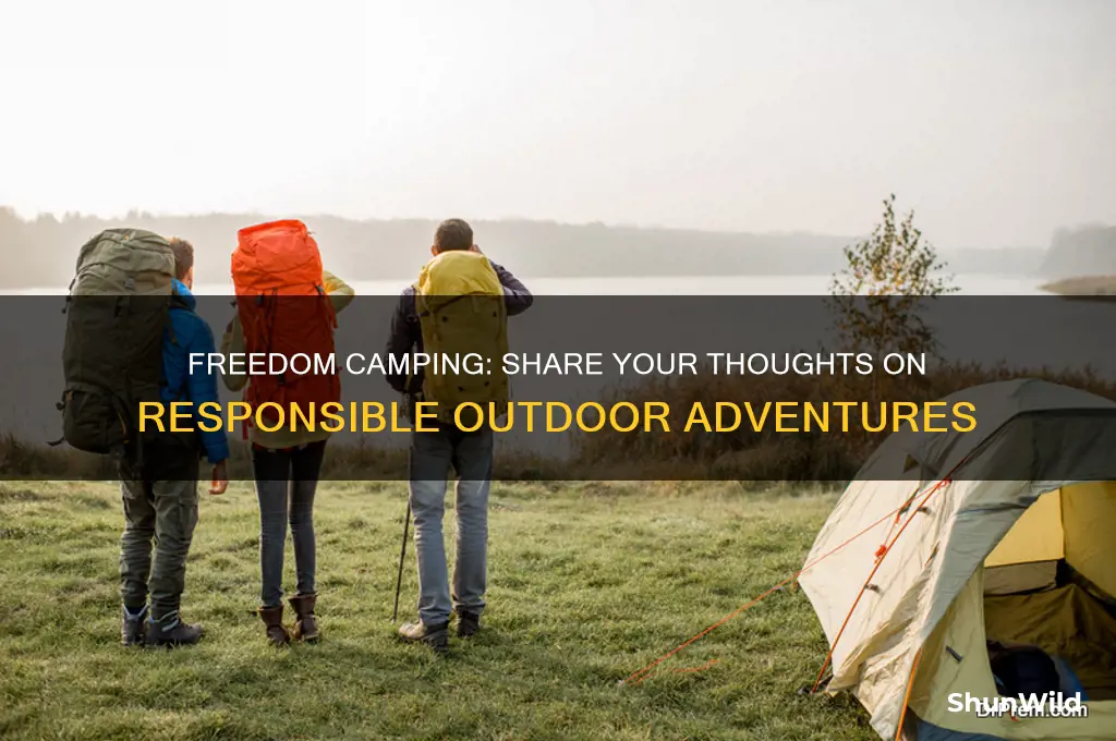 have your say freedom camping