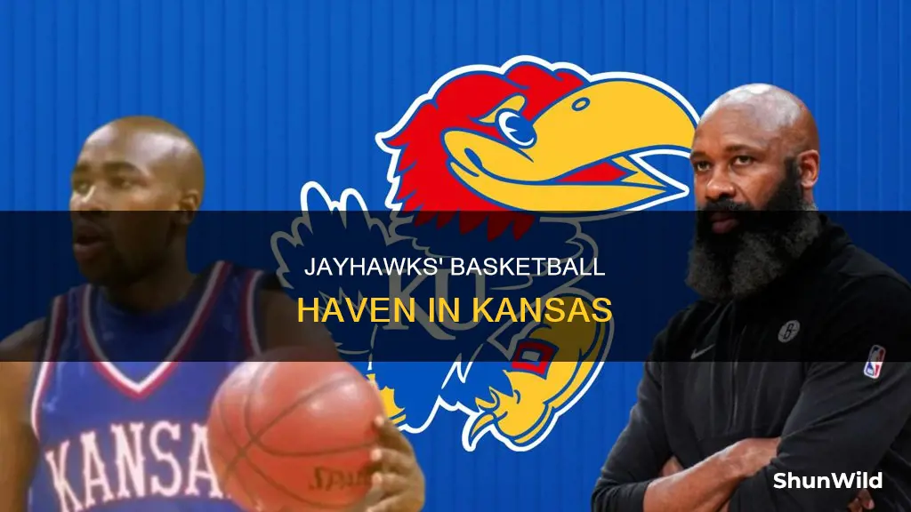 haven basketball kansas