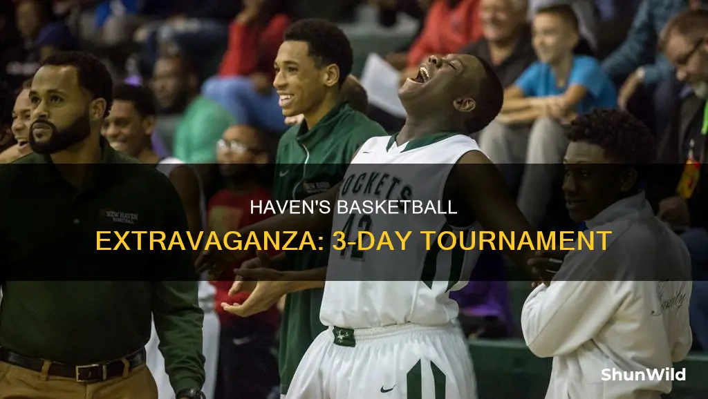 haven basketball tournament
