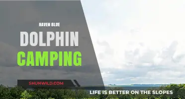 Haven Blue Dolphin Camping: Ultimate Coastal Adventure & Relaxation Guide