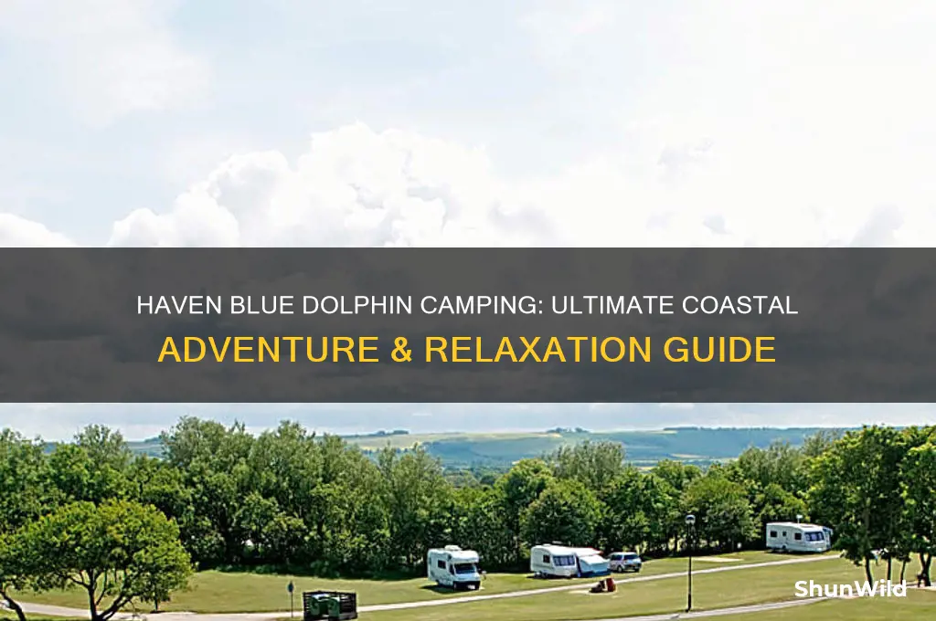 haven blue dolphin camping