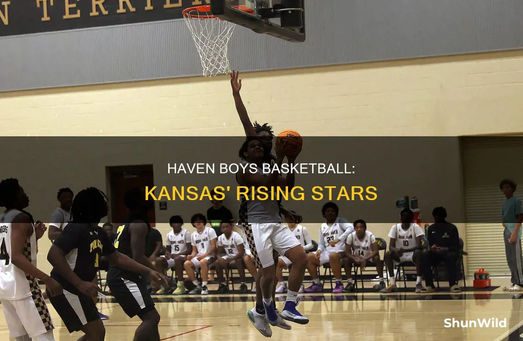 haven boys basketball ks