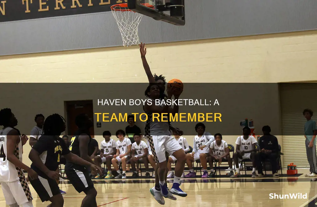 haven boys basketball