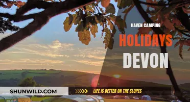 Discover Tranquil Haven Camping Holidays in Devon's Stunning Countryside