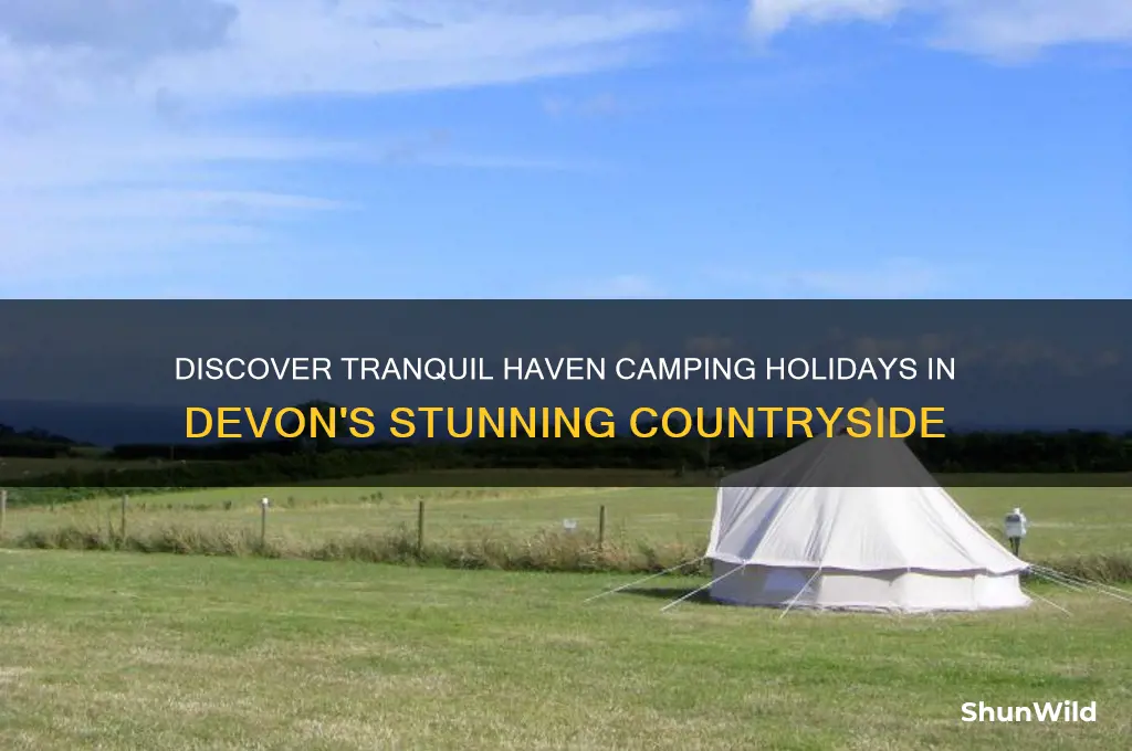 haven camping holidays devon