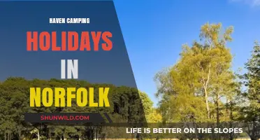 Discover Tranquil Haven Camping Holidays in Norfolk's Scenic Countryside