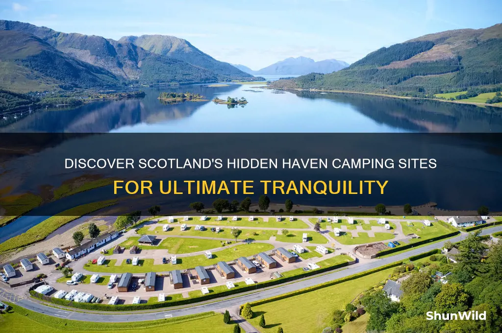 haven camping sites in scotland