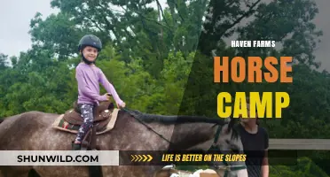 Haven Farms Horse Camp: A Perfect Equestrian Getaway for All Ages