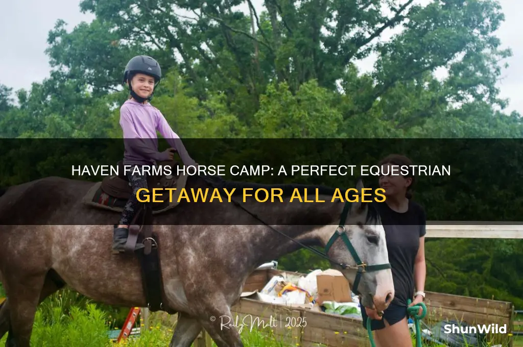 haven farms horse camp