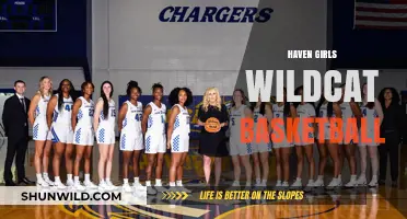 Haven Girls' Basketball: Wildcats on the Rise