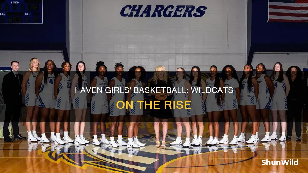 haven girls wildcat basketball