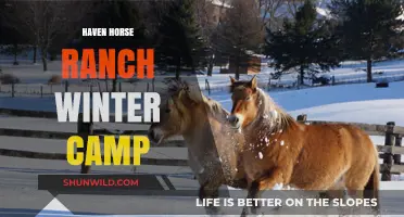 Winter Wonderland Adventures at Haven Horse Ranch Camp