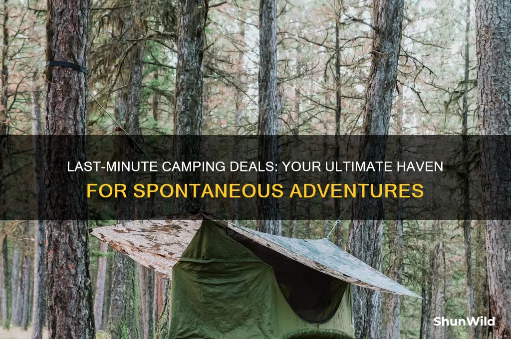 haven last minute camping deals