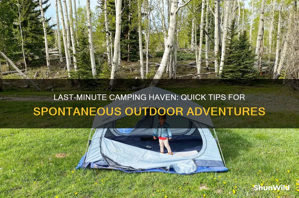 haven last minute camping