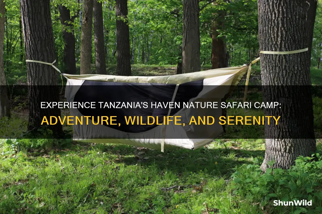 haven nature safari camp tanzania