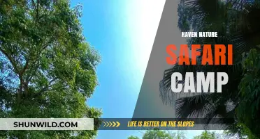 Experience Serenity at Haven Nature Safari Camp: Adventure Awaits
